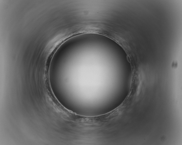 X0000112880338200908211456