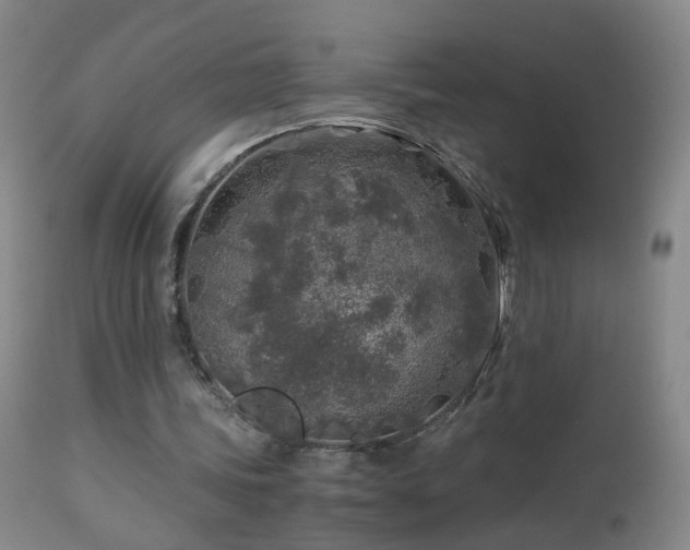 X0000112880339200908211456