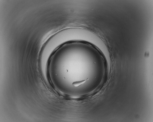 X0000112880340200908211456