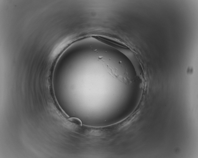 X0000112880341200908211456