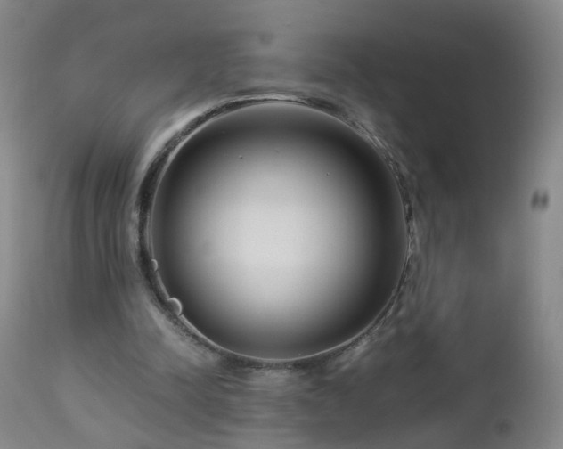 X0000112880342200908211456