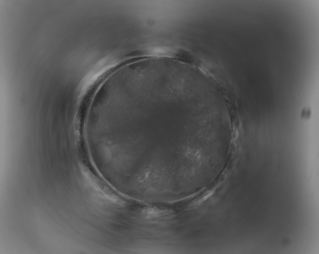 X0000112880343200908211456