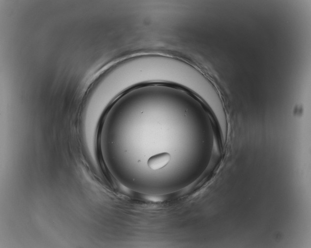 X0000112880344200908211456