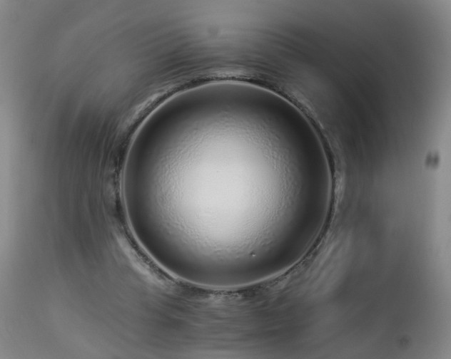 X0000112880345200908211456