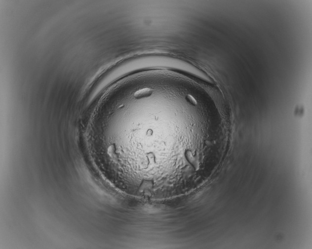 X0000112880346200908211456