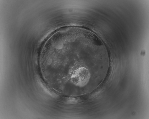 X0000112880347200908211456