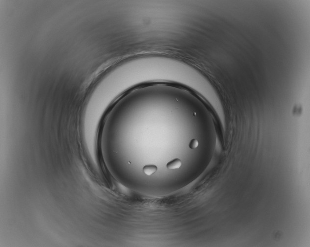 X0000112880348200908211456