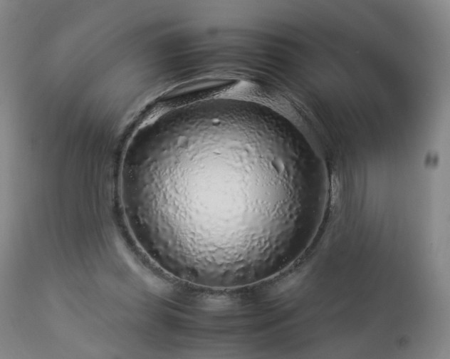 X0000112880349200908211456