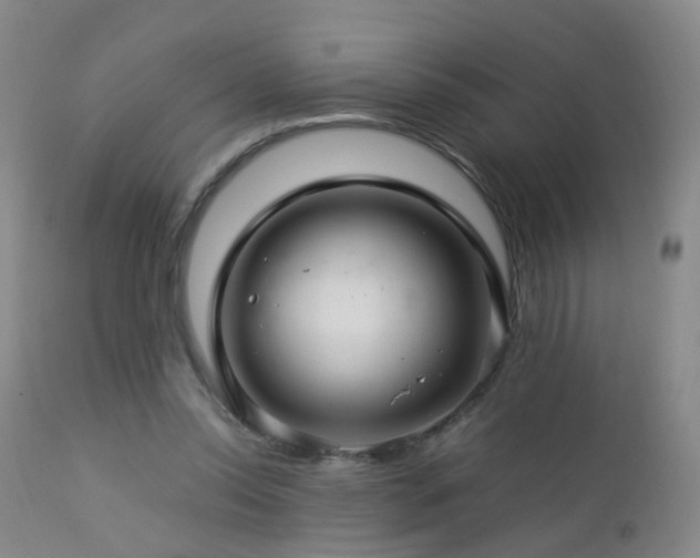 X0000112880350200908211456