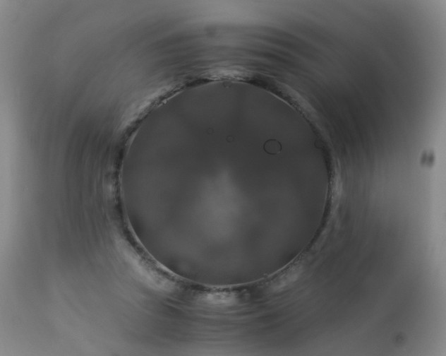 X0000112880353200908211456