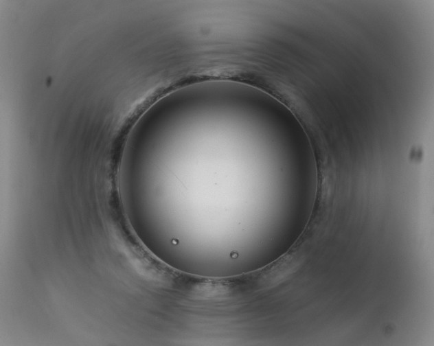 X0000112880354200908211456