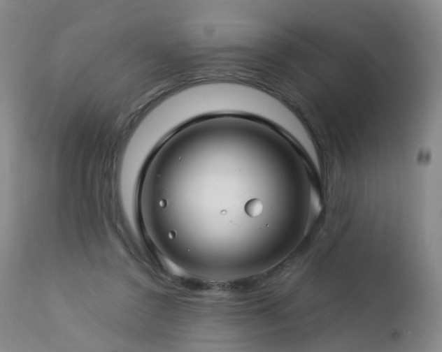 X0000112880356200908211456