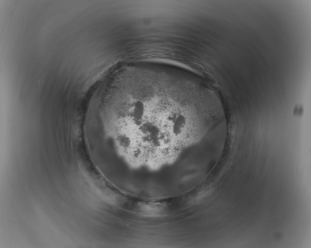 X0000112880359200908211457