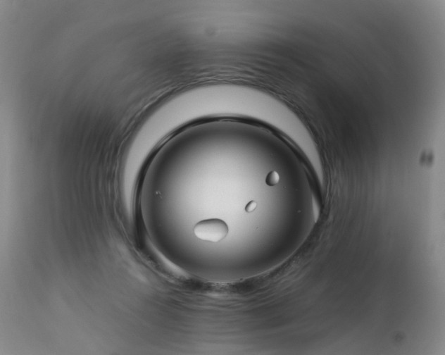 X0000112880360200908211457