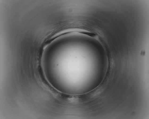 X0000112880362200908211457