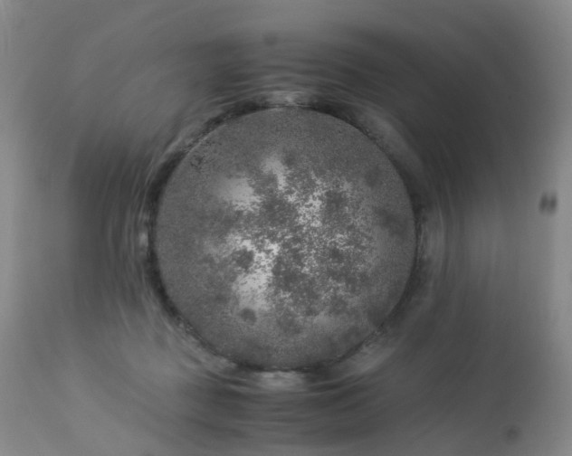 X0000112880363200908211457