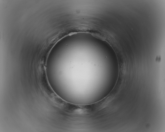 X0000112880364200908211457