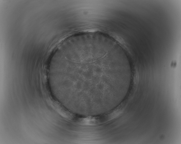 X0000112880366200908211457