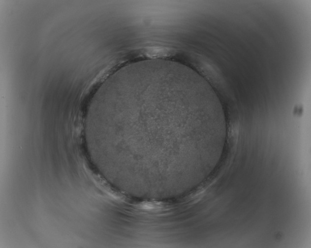 X0000112880367200908211457