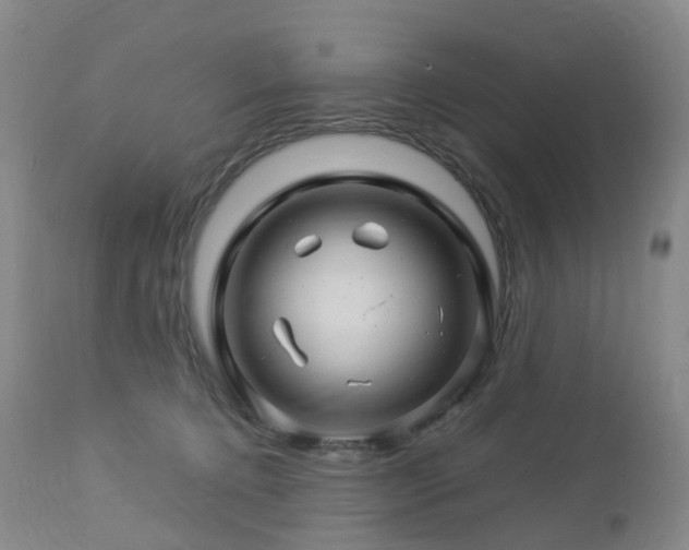 X0000112880368200908211457