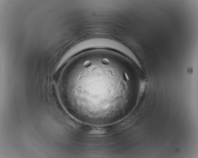 X0000112880369200908211457