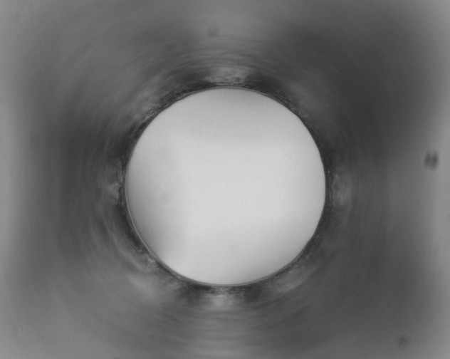 X0000112880370200908211457