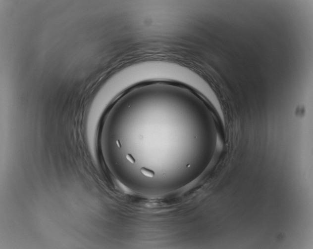 X0000112880372200908211457