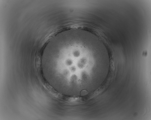 X0000112880375200908211457