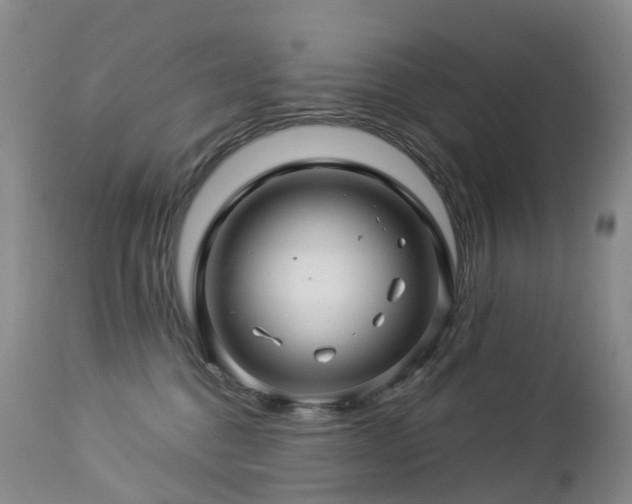 X0000112880376200908211457