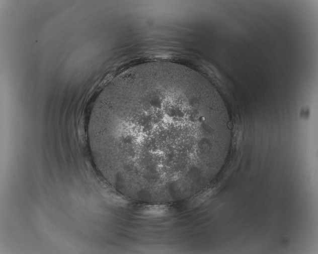 X0000112880377200908211457