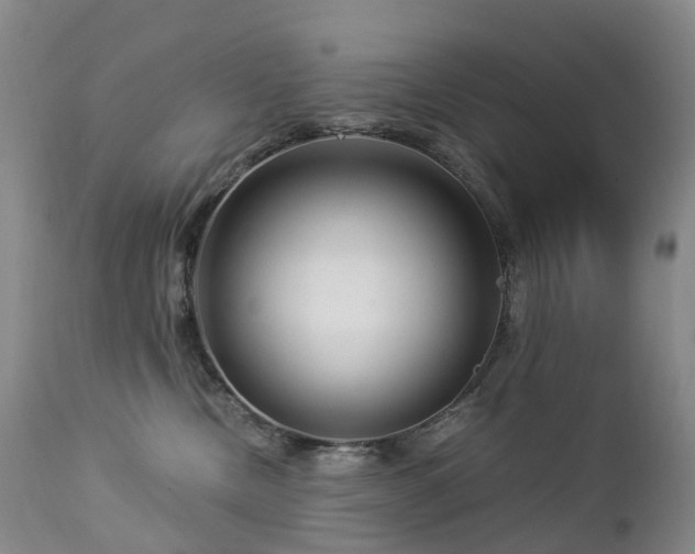 X0000112880378200908211457