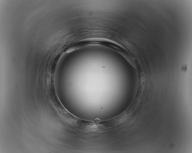 X0000112880379200908211457