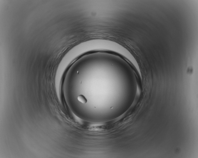 X0000112880380200908211457