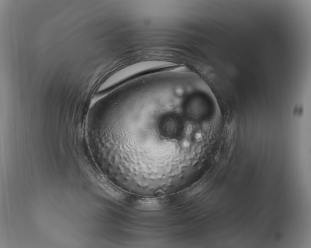 X0000112880381200908211457