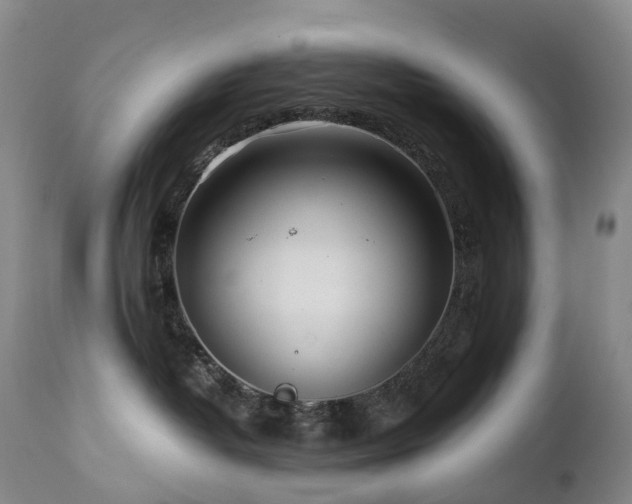 X0000112880382200908211457