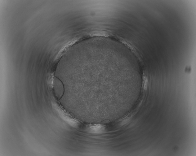 X0000112880383200908211457