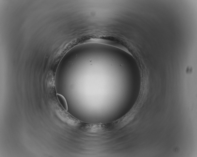 X0000112880384200908211457