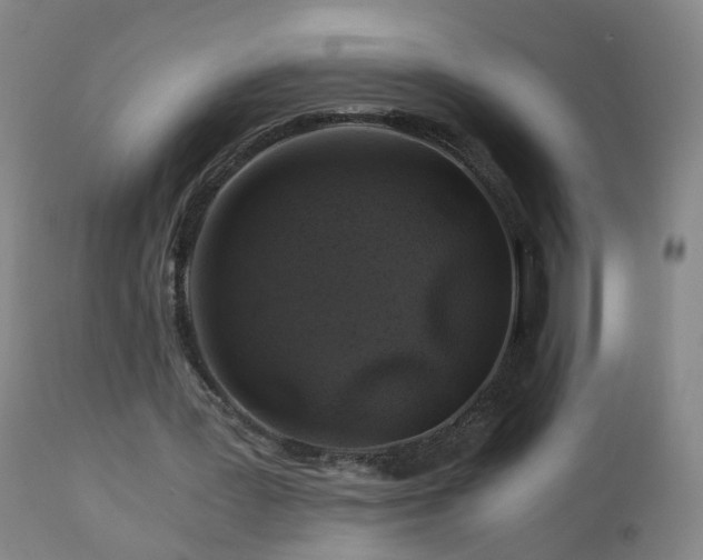 X0000112880387200908211456