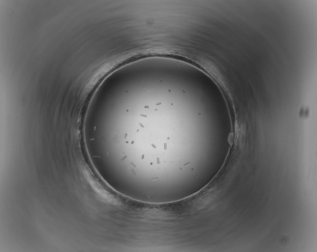 X0000112880389200908211456