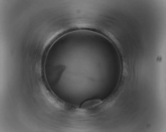 X0000112880391200908211456