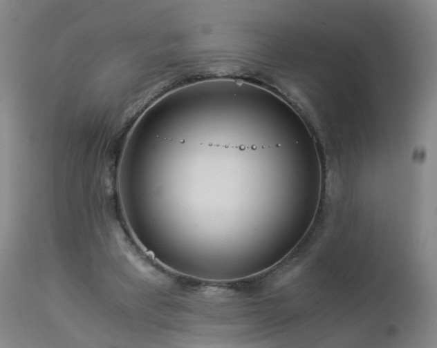 X0000112880393200908211456