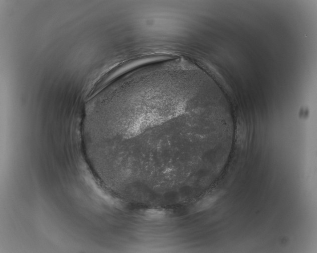 X0000112880394200908211456