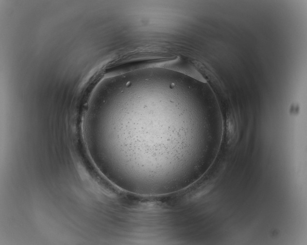 X0000112880396200908211456