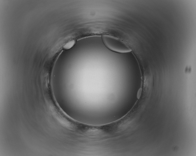 X0000112880397200908211456