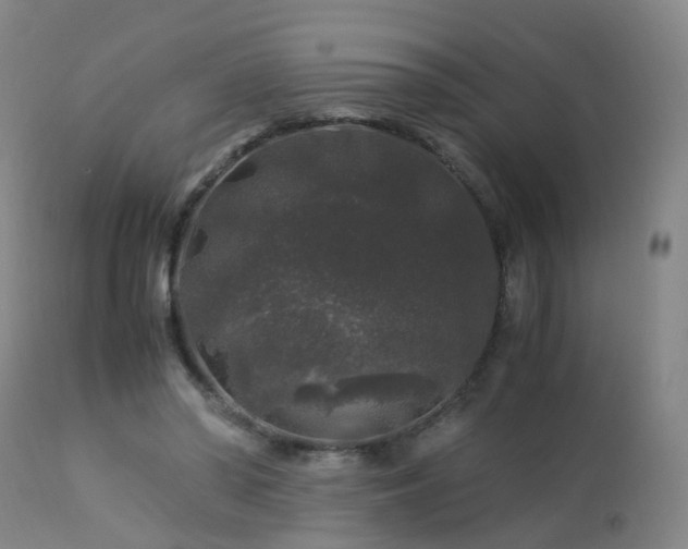 X0000112880398200908211456