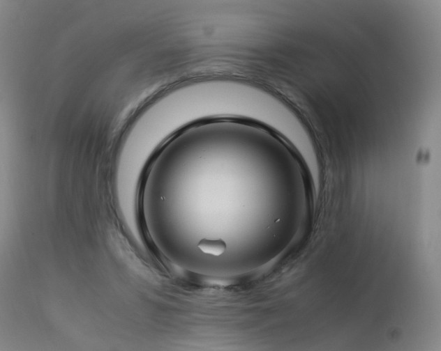 X0000112880399200908211456