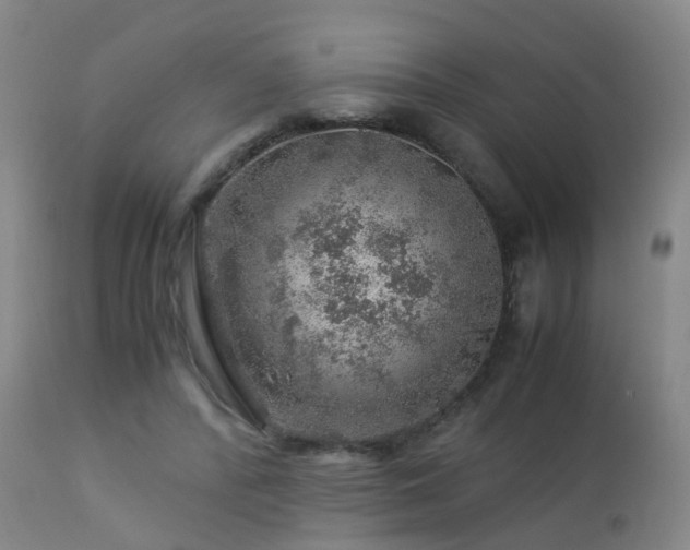 X0000112880400200908211456