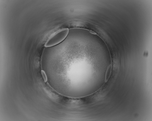 X0000112880401200908211456