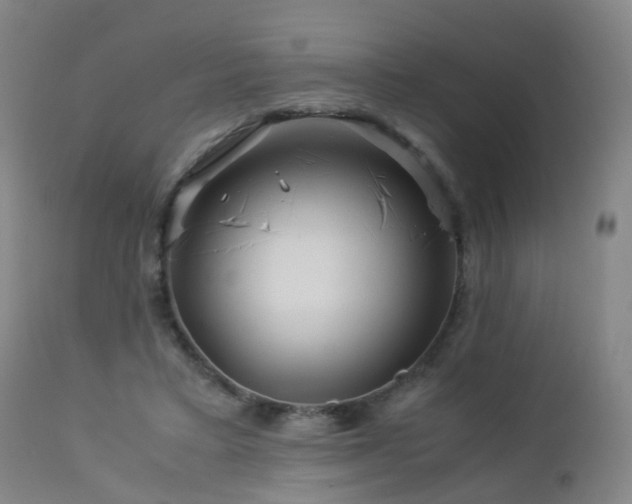 X0000112880403200908211456