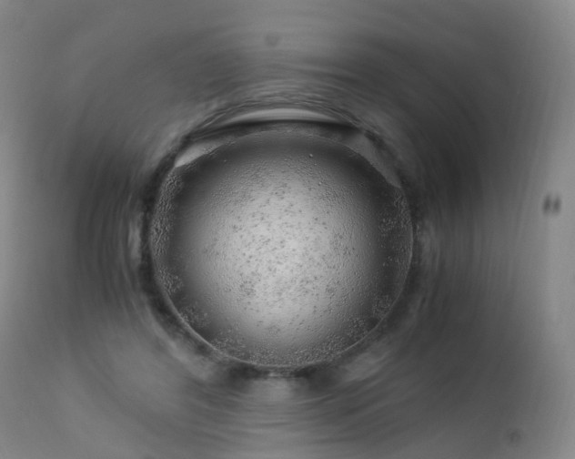 X0000112880404200908211456